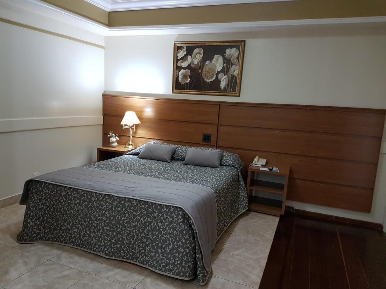 Tamareiras Park Hotel Uberaba Zewnętrze zdjęcie