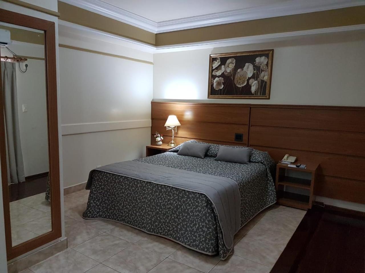 Tamareiras Park Hotel Uberaba Zewnętrze zdjęcie